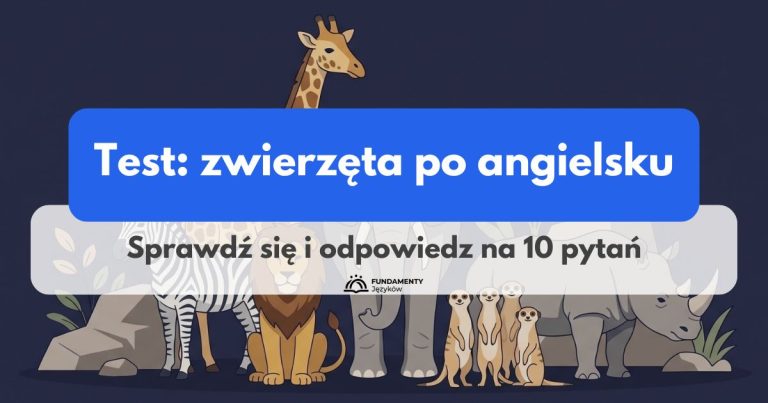 Test: zwierzęta po angielsku